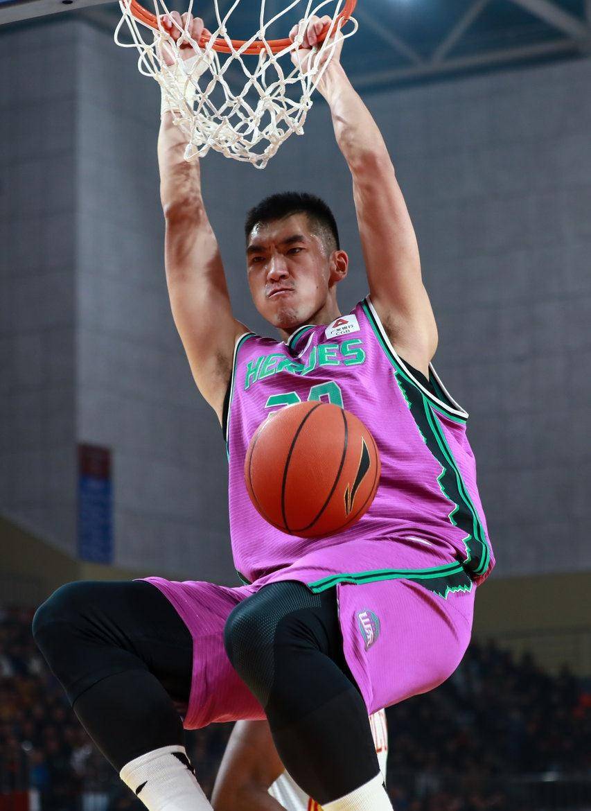 陶汉林经历,陶汉林张振林