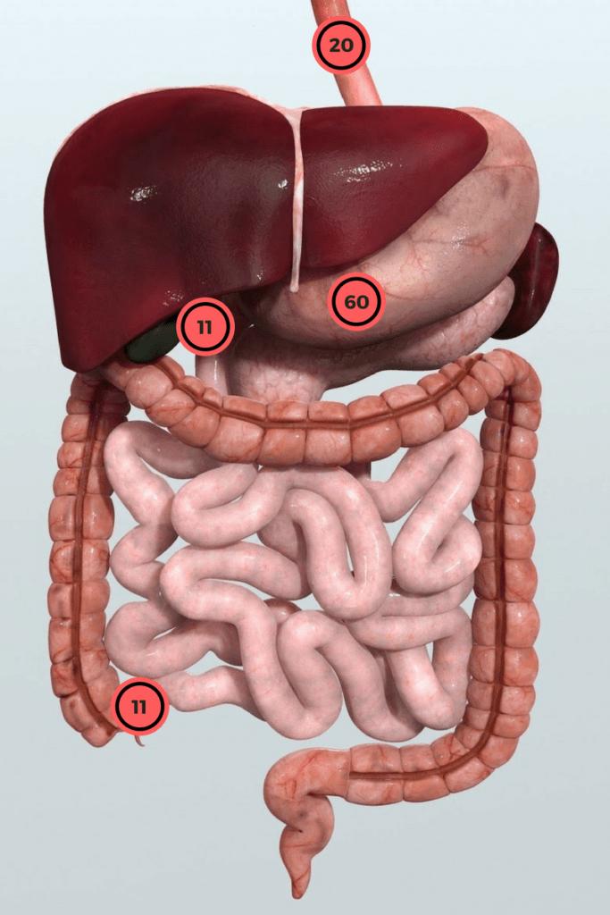 小孩误食乐高小零件多久能排出,吞下积木多久能拉出来