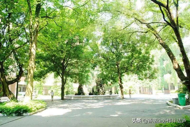 周金祥：高考人生,1