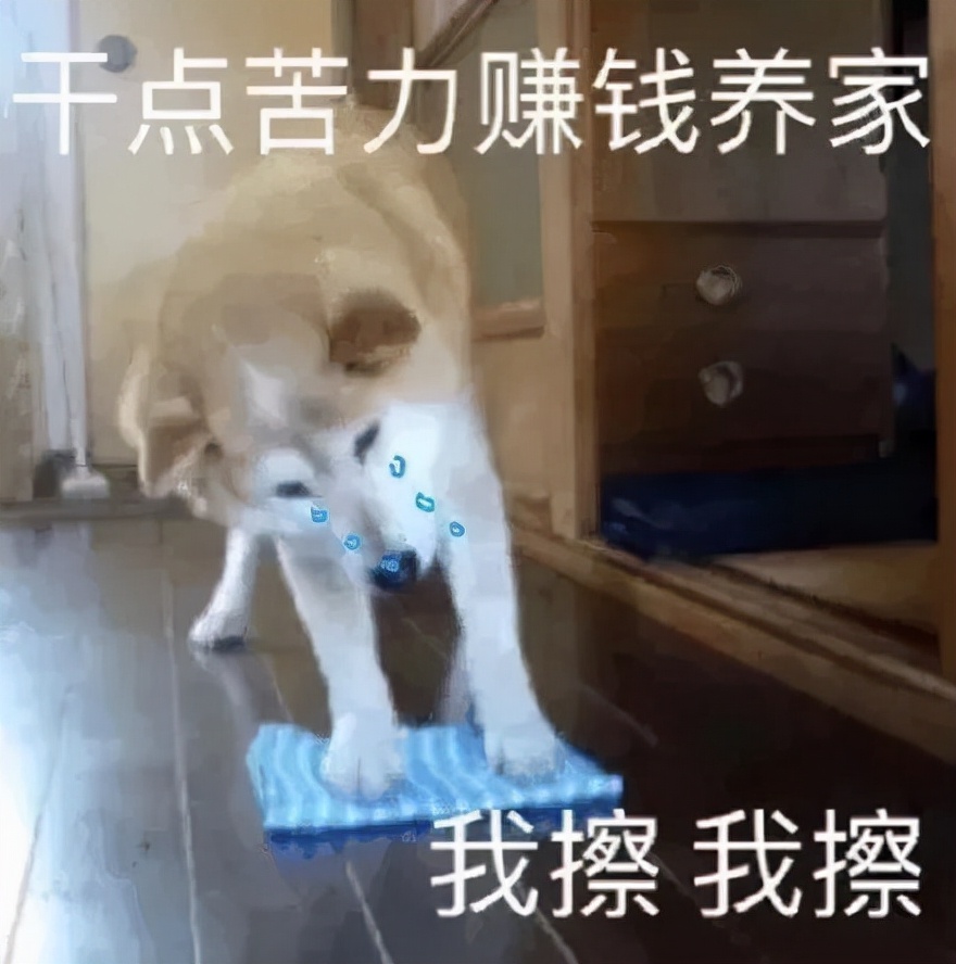 每一个花花公子，都会变成南极人