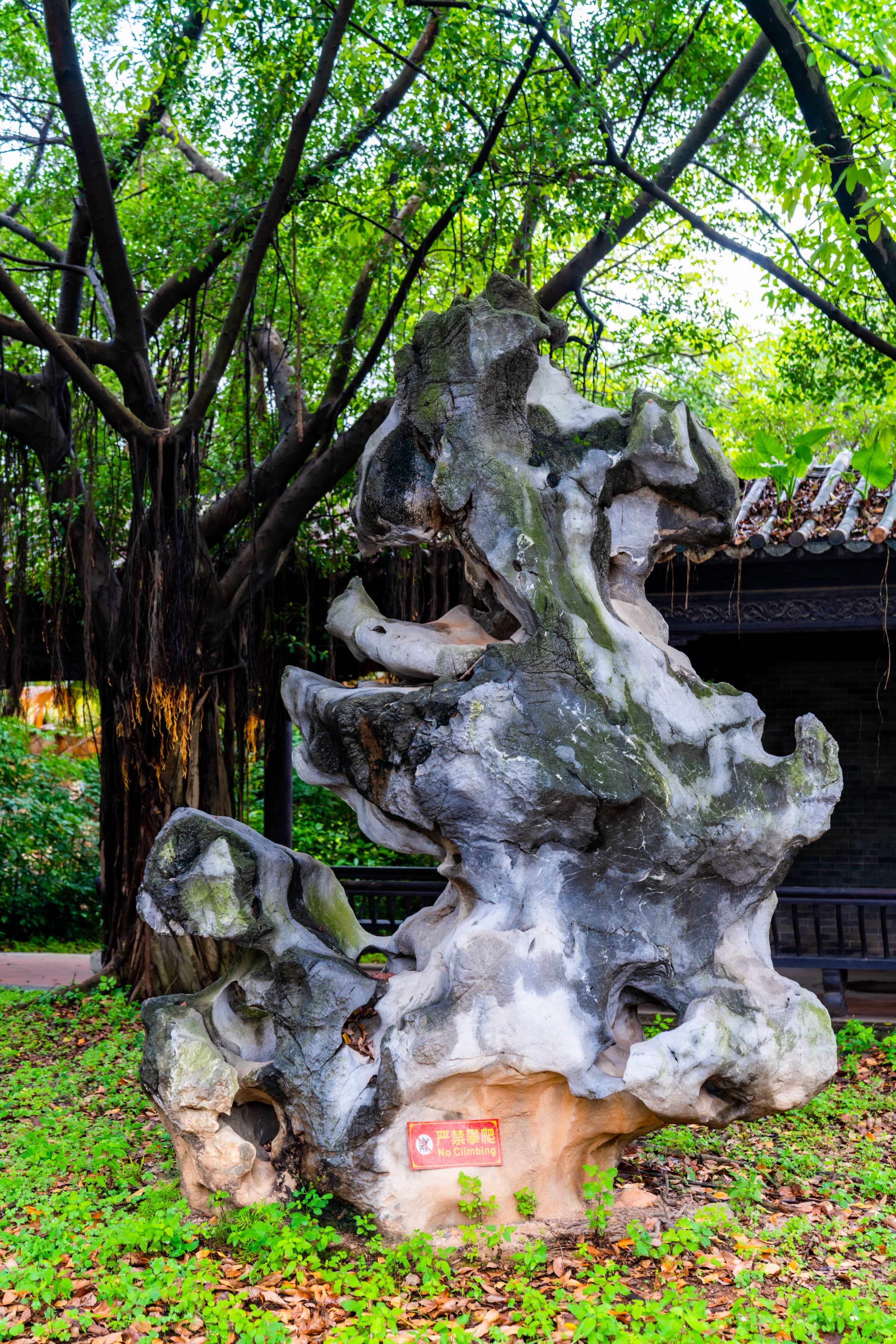 粤晖园国庆游,粤晖园自驾游攻略