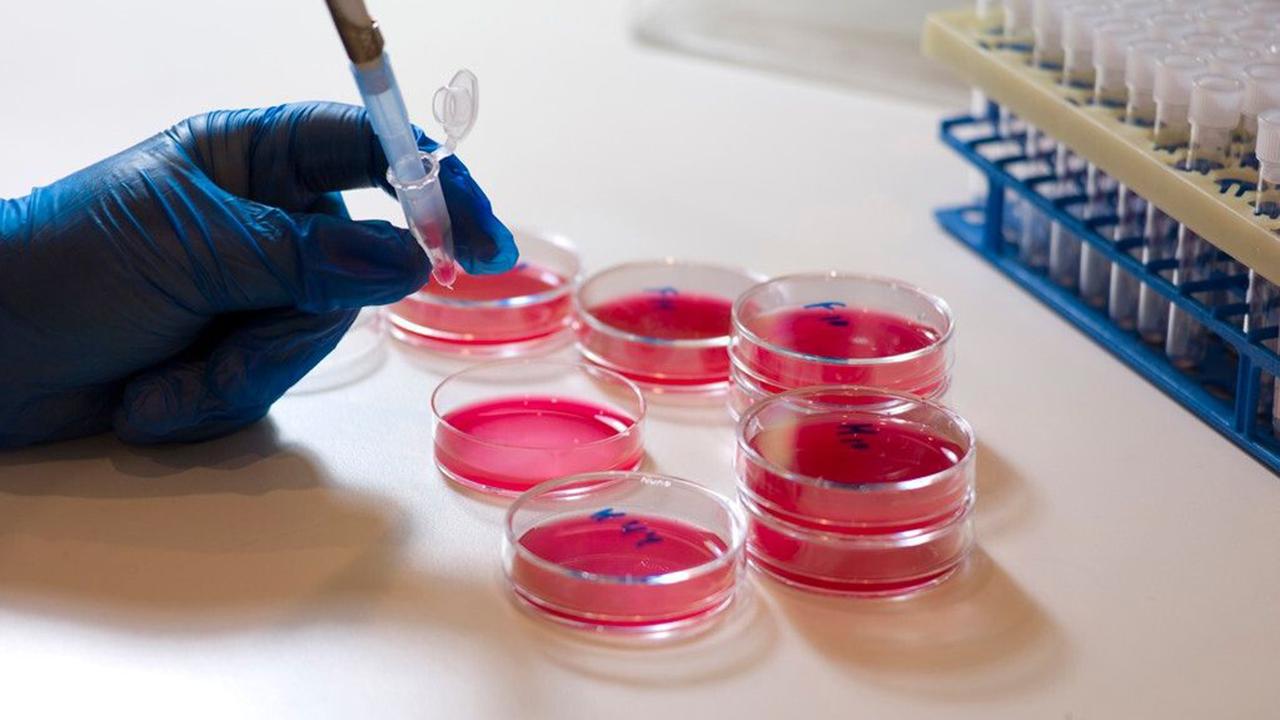 辟谣丨抗生素就是消炎药吗？两大常用抗生素，很多人都用错了