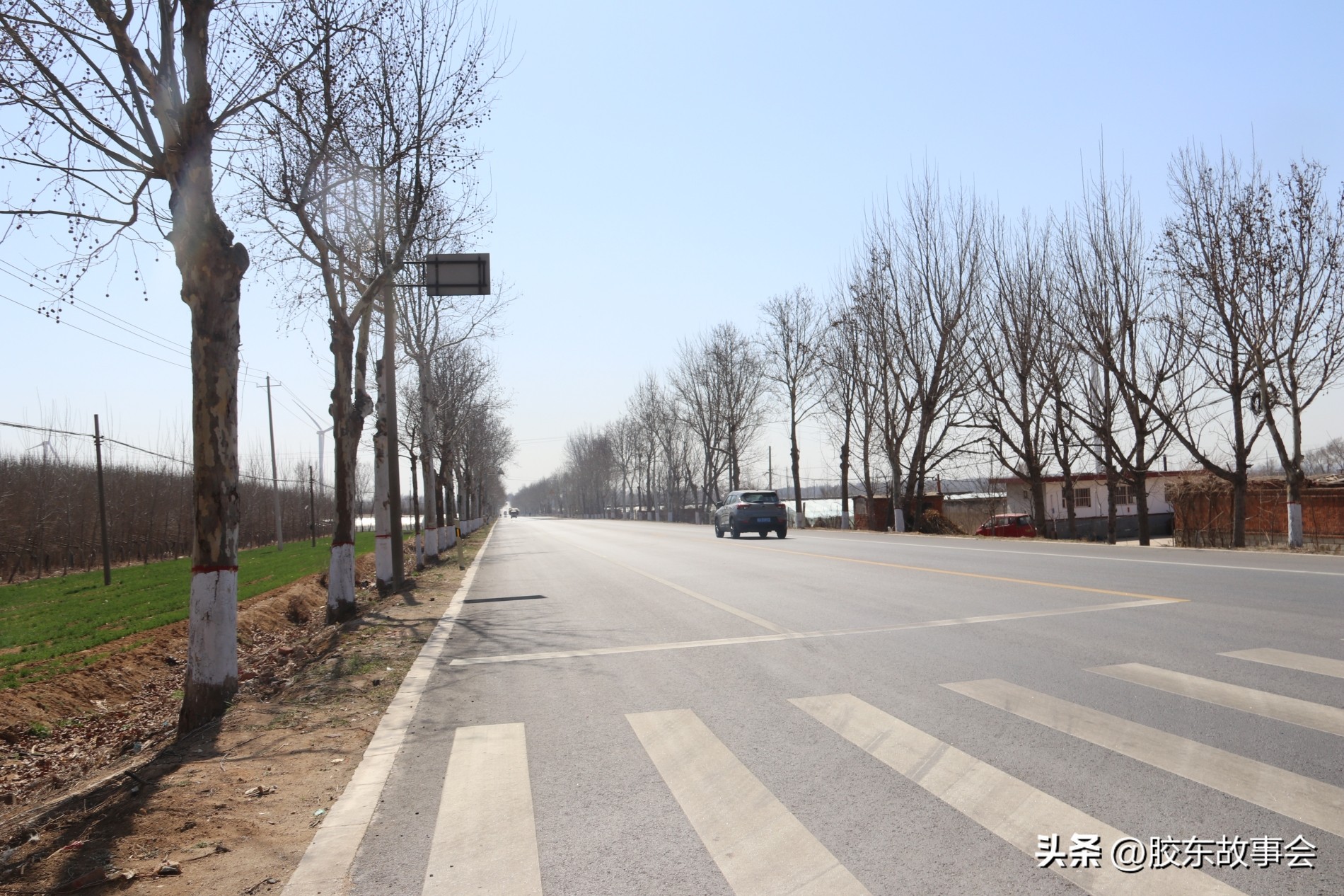 莱西水台村,莱西南岚乡水台村