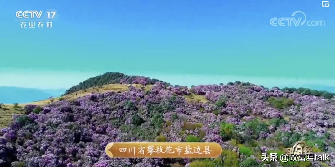 最想去打卡的早餐,藏在西南的小县城里,年产值上亿了