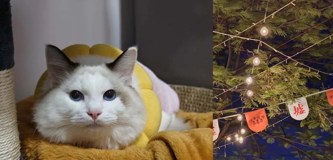 拿什么买手机才是最便宜的最实用,拿着钱去买自己喜欢的东西