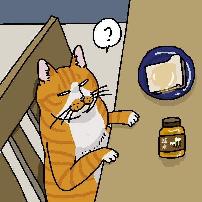 猫咪要怎么喂才是正确的答案,猫咪能每天喂猫吃不同的肉吗