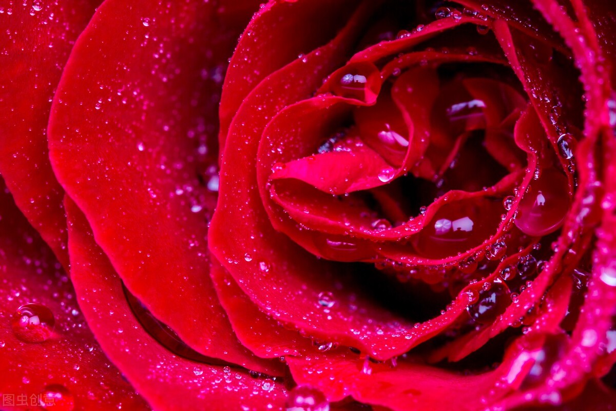 闺女上学谈恋爱怎么办,养女在家里没地位27岁不敢谈恋爱