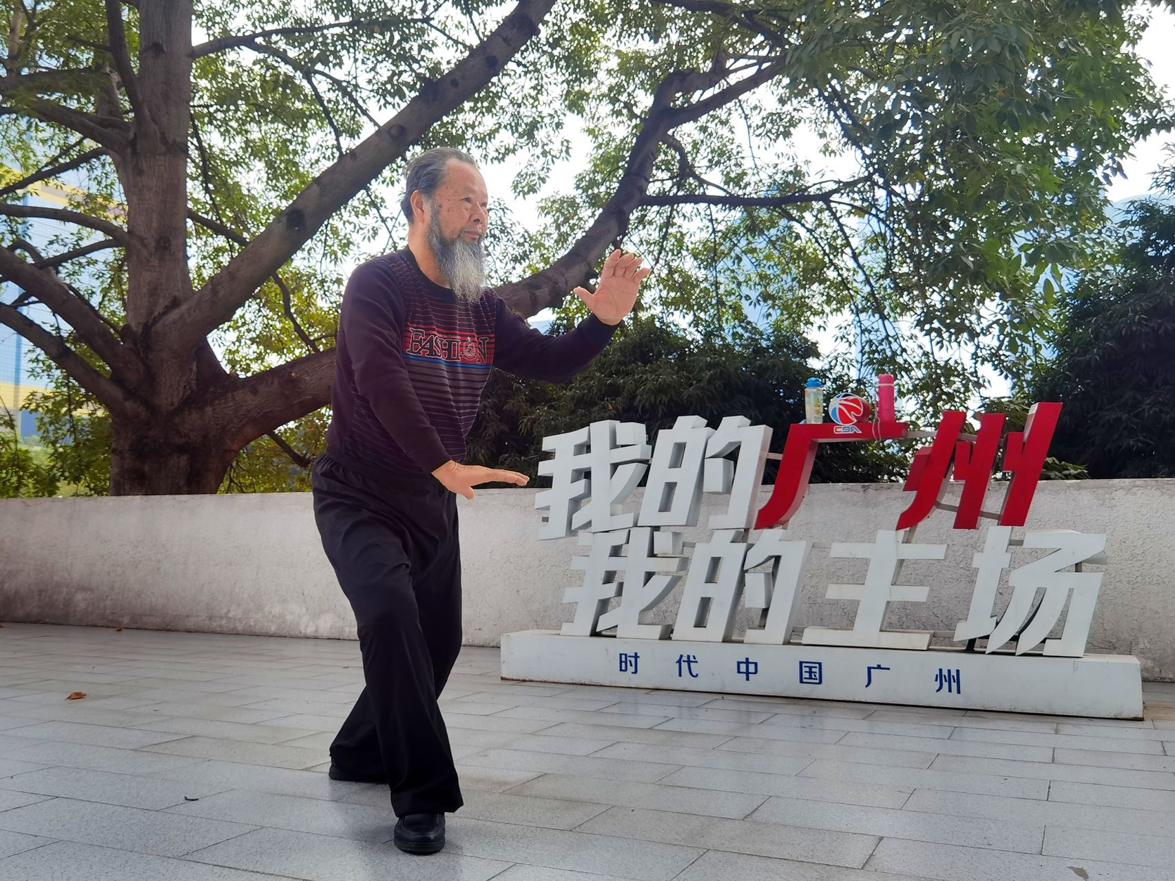 杨式太极·嫡系真传—张寅老师