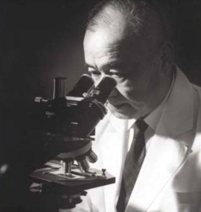 养乐多是一家什么样的公司,养乐多集团的创始人