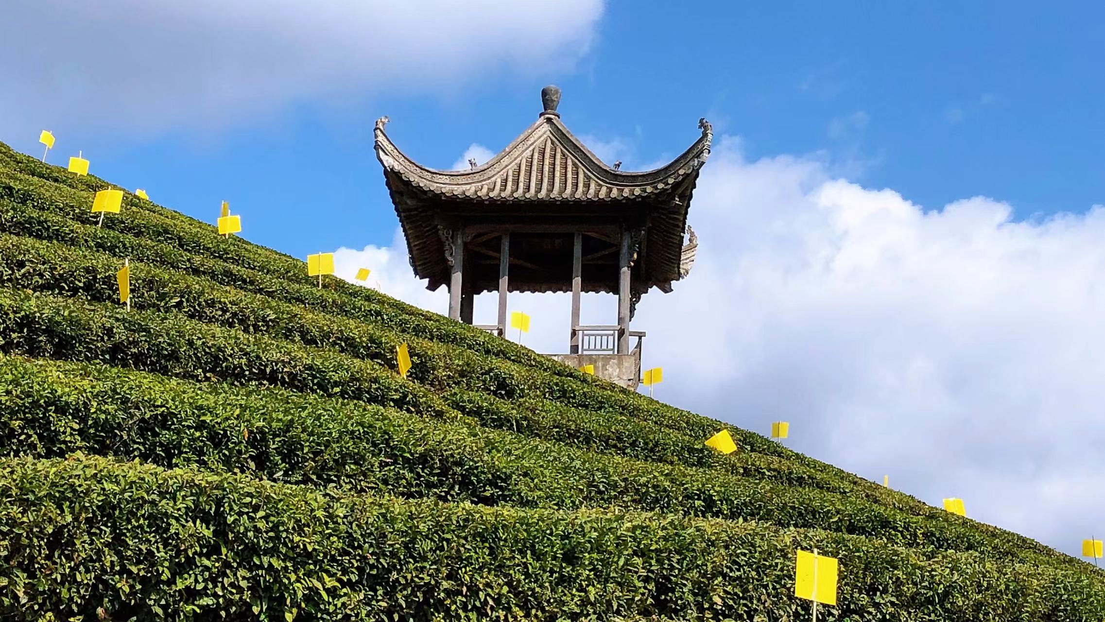 自驾免费看云海的好地方,江浙沪最美自驾公路西山