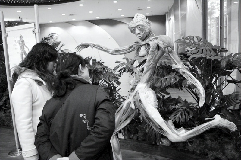 煮人骨，剔腐肉，一年处理50具遗体，直面死亡的人体标本制作师