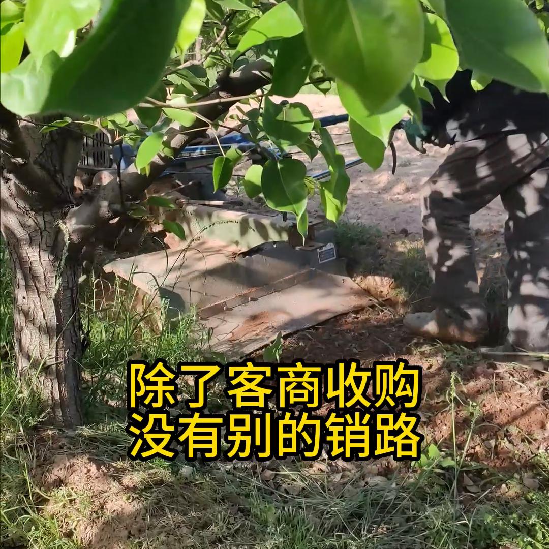 大学生返乡创业例子简短一点,2020年返乡大学生在农村创业