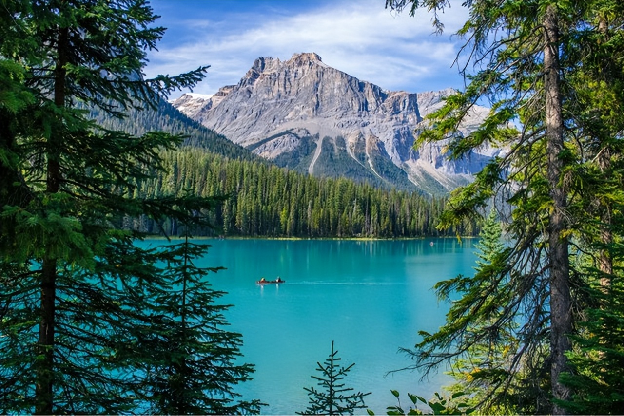 加拿大pr通过了什么时候拿枫叶卡,加拿大pr和枫叶卡的区别