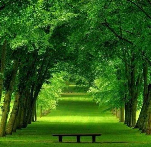 安然是舒适的意思,安然是真实存在的么