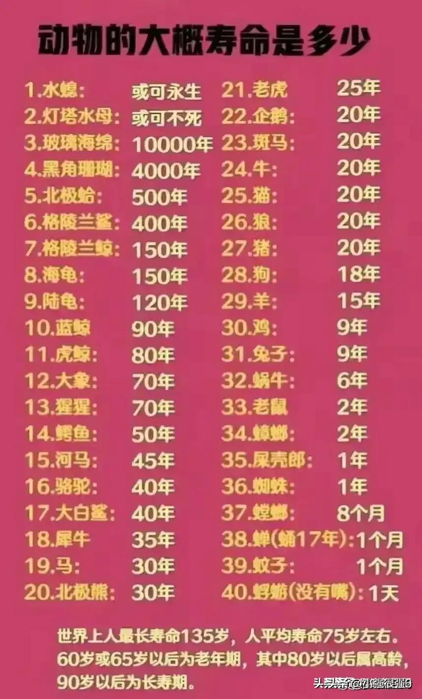 各种符号含义及其用法,手机上方出现的符号分别代表什么