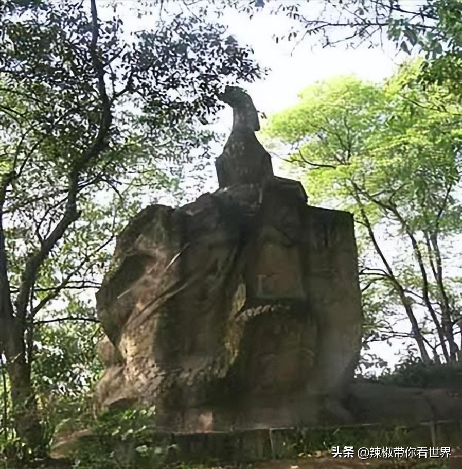 美在黑龙江：走进诗意山水之齐齐哈尔这里是世界大湿地中国鹤家乡