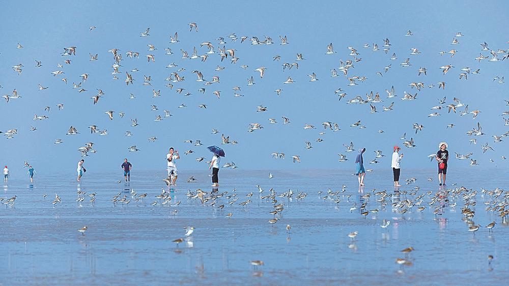 娌挎捣缁垮煄鐩愬煄,鐩愬煄娌挎捣缁垮煄