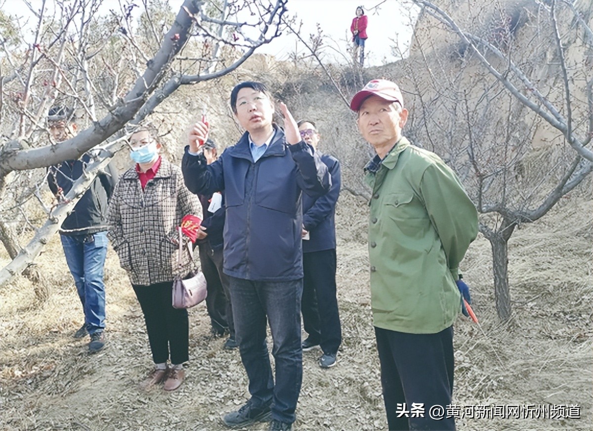 巩固拓展脱贫攻坚成果示范县,脱贫攻坚同乡村振兴的有效衔接