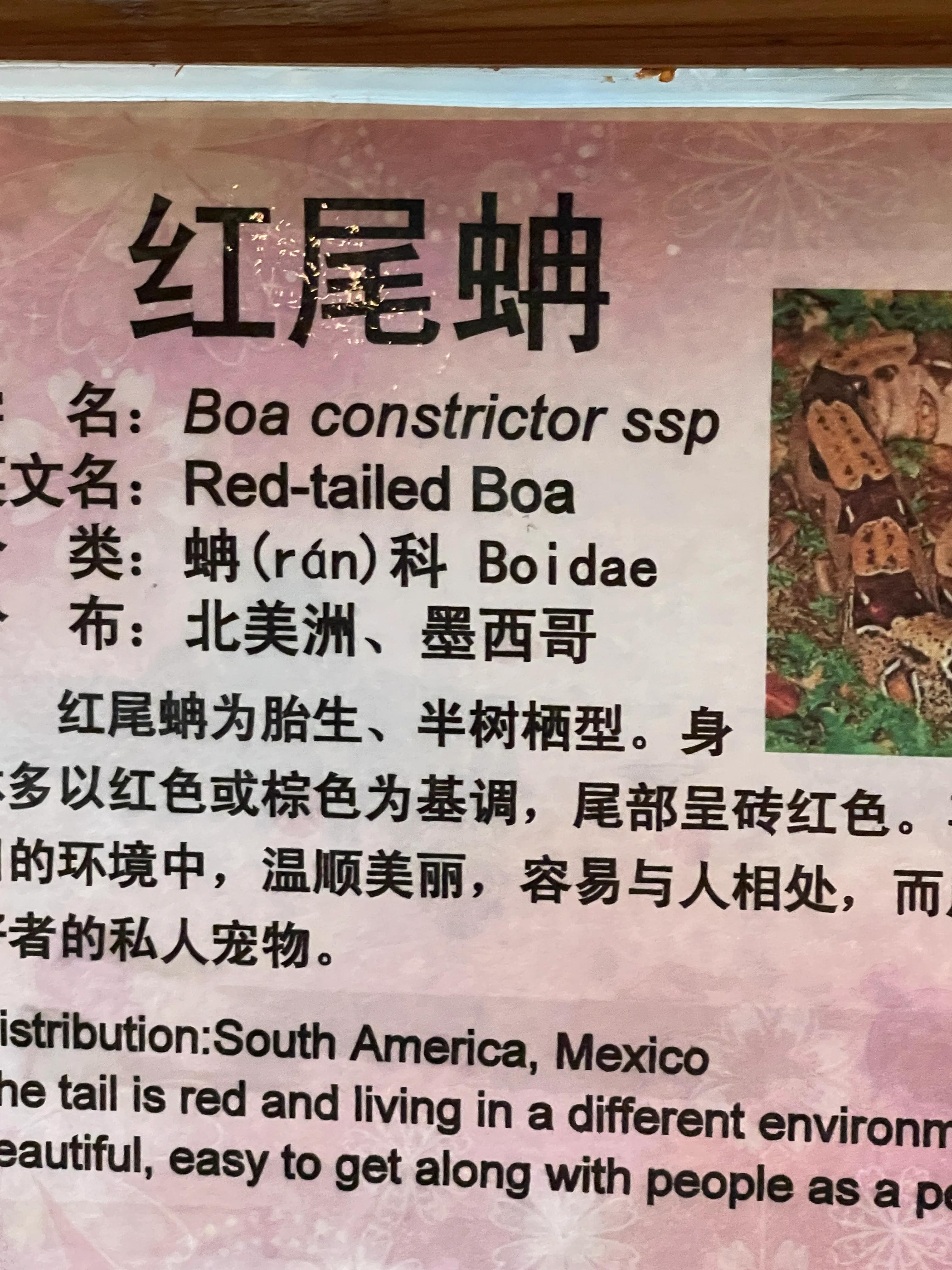 上海大自然野生昆虫博物馆,上海野生昆虫馆门票