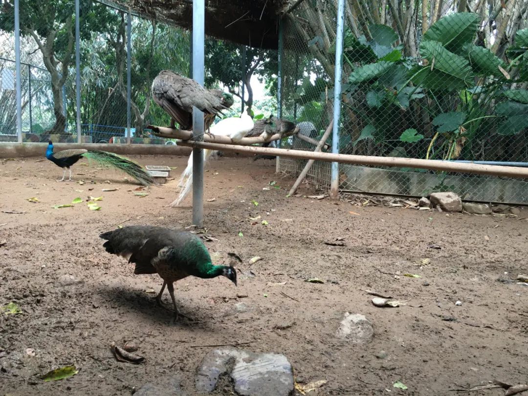 旭光电动车行,旭光车行向阳路