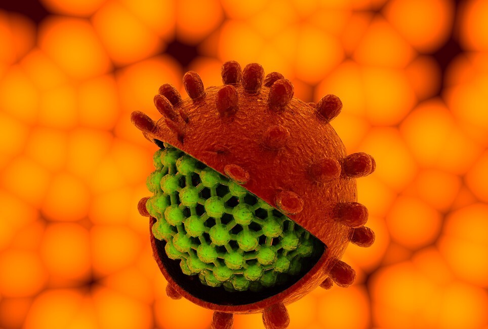 胆红素偏高怎么降,胆红素过高怎么降低