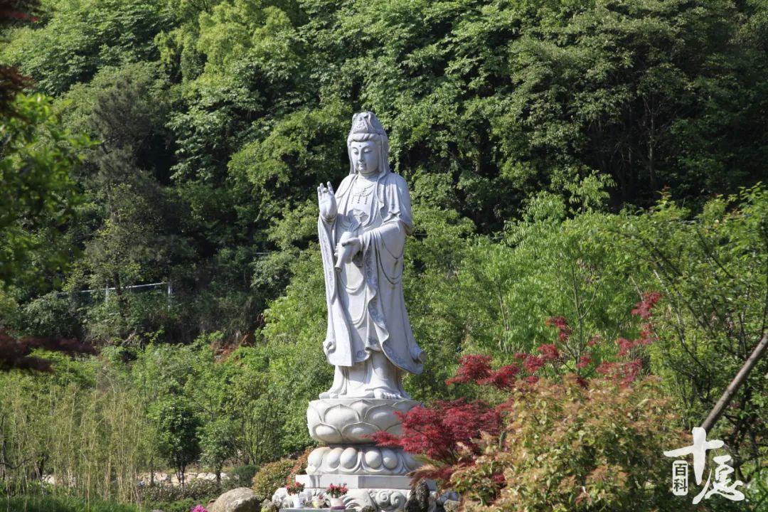 你真正了解菩萨吗,恭迎观音菩萨成道日问候语