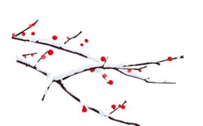 雪梅的画面怎么画,写意雪梅画法教程