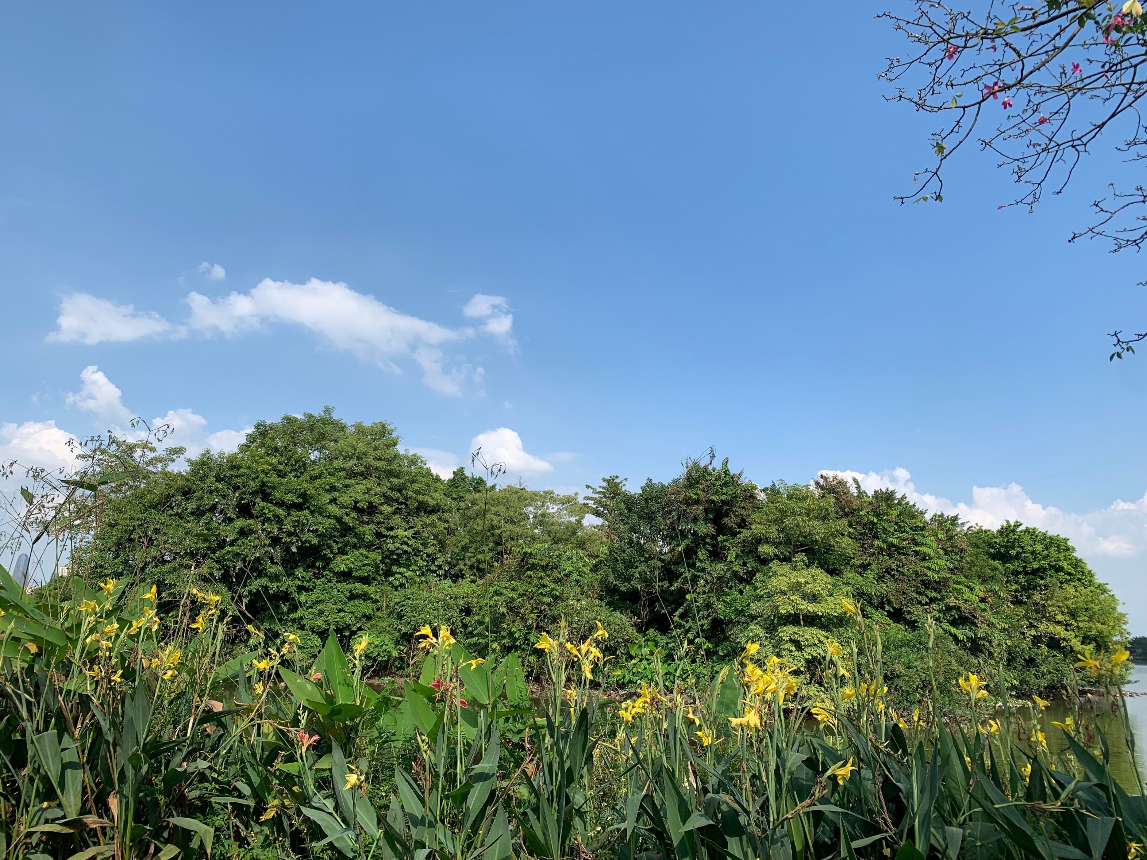 广州国庆假期一日游:南肾海珠湖国家湿地公园的最佳旅游攻略
