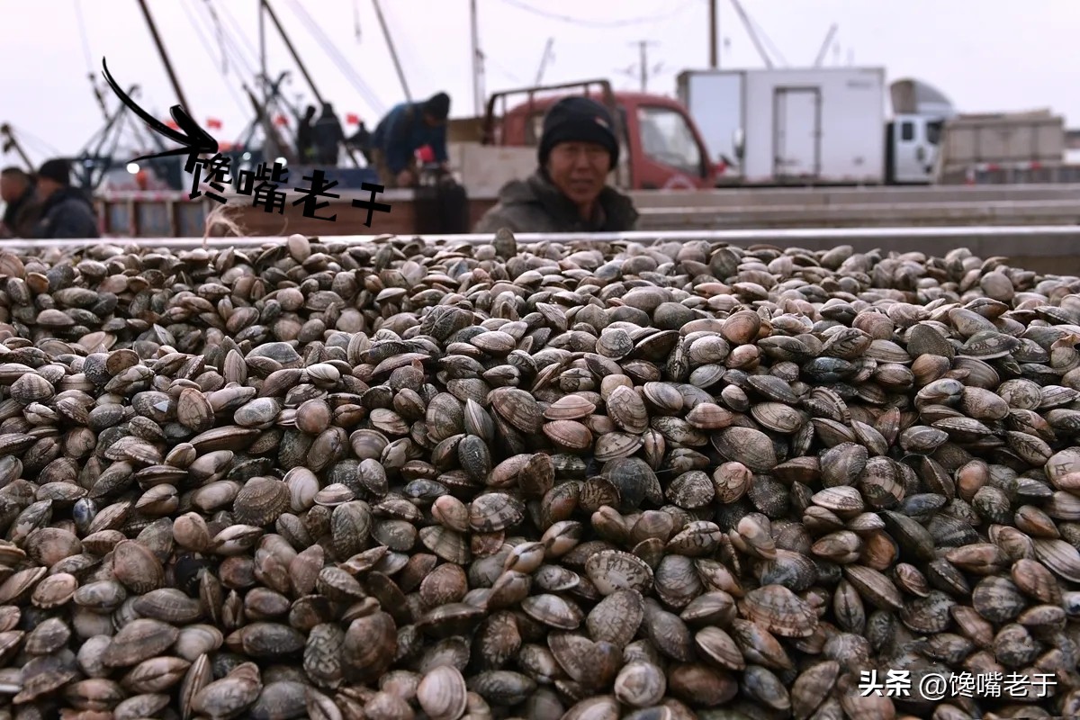 5种当季海鲜价格便宜营养好,海鲜正当季6月必吃的10大海鲜