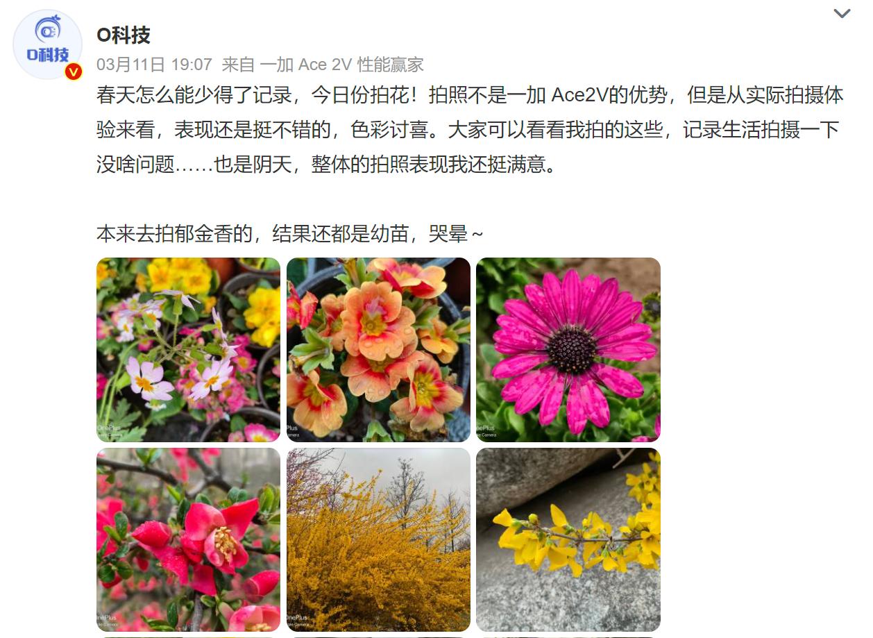 一加ace2v手机什么时候发布,一加新品手机ace2v值得买吗