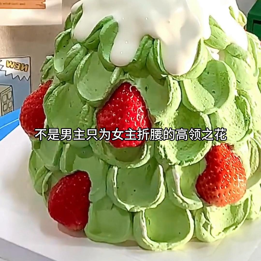 小说孽缘,小说所谓的媳妇