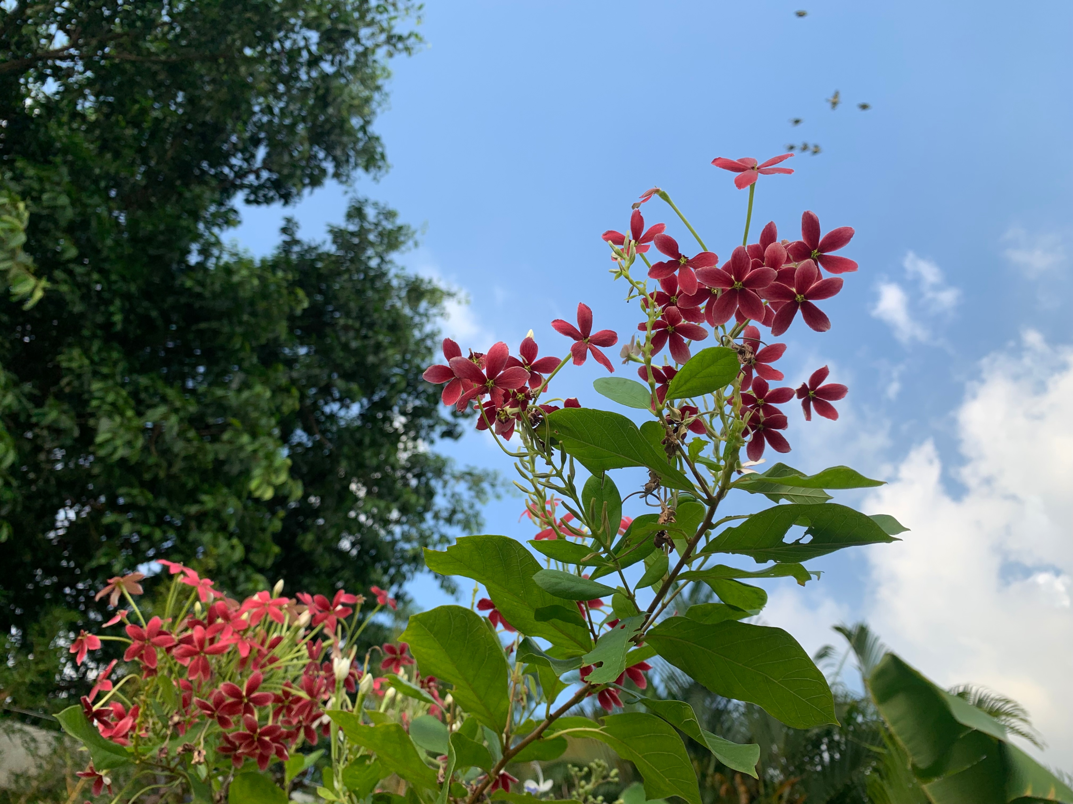广州海珠湿地公园游玩攻略一日游,海珠湖湿地公园最佳游玩时间