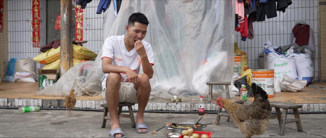 我要把拉马拍成阿甘