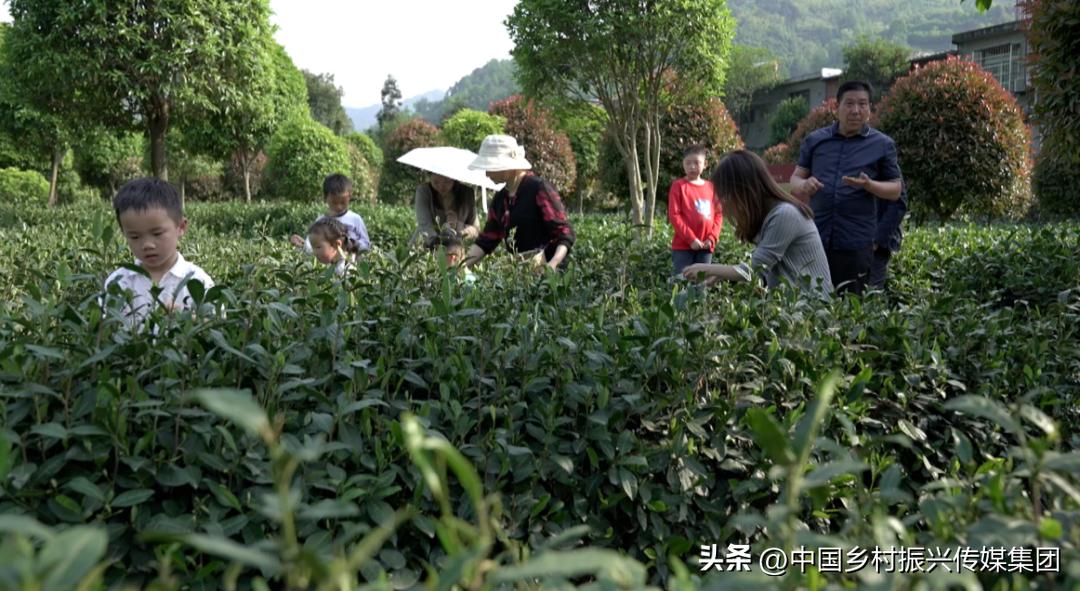 政府扶持乡村振兴的项目有哪些,2024乡村振兴政府补贴重点项目