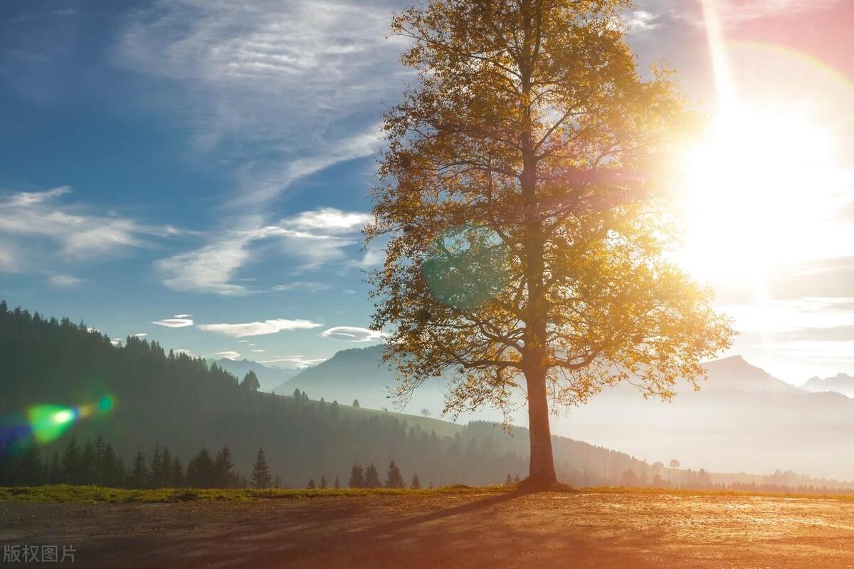 没有伦理，就没有真正的心理咨询