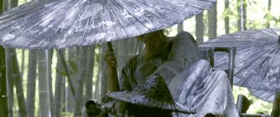 盘点｜最火四大平台的“四大顶流女王”