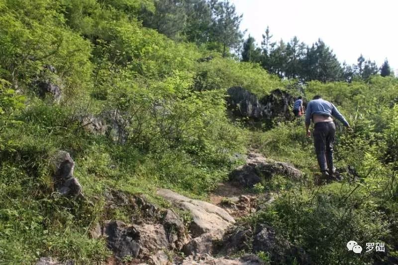 鐭虫湪灞卞,鐭虫湪瀵ㄥソ椋庡厜