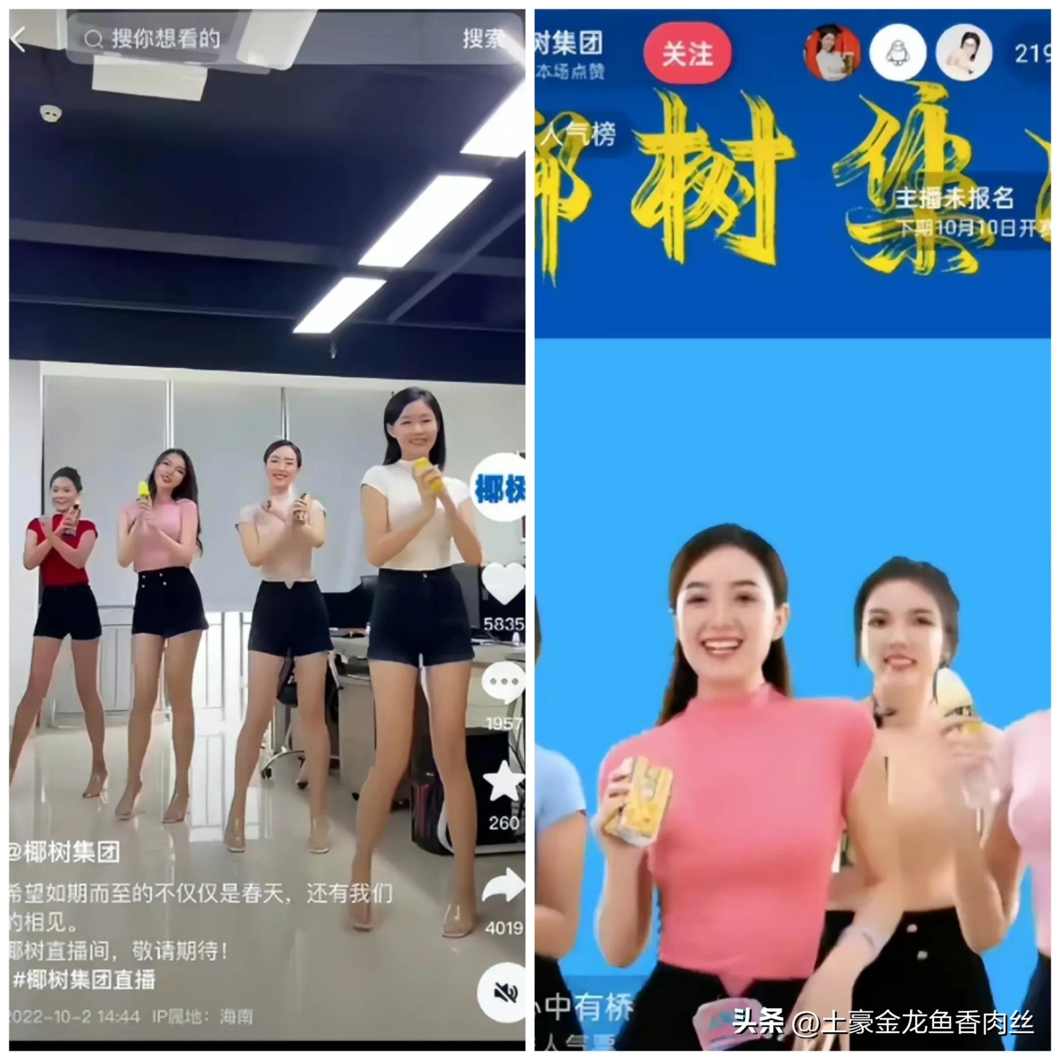 椰树直播风格引发争议,椰树再次直播