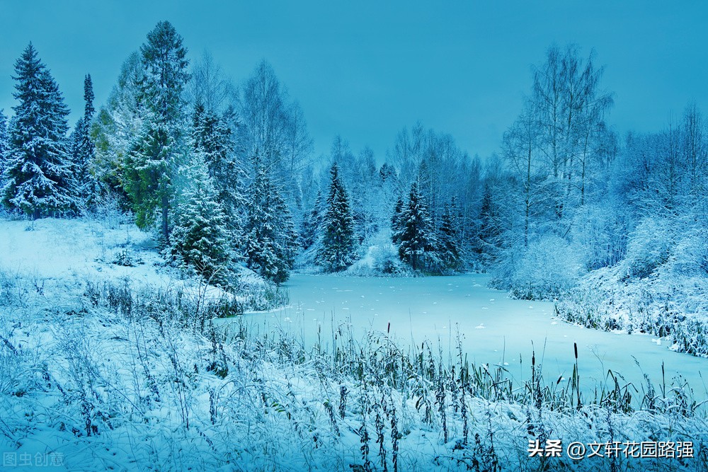 立冬诗词赏析大全,立冬诗词全集100首