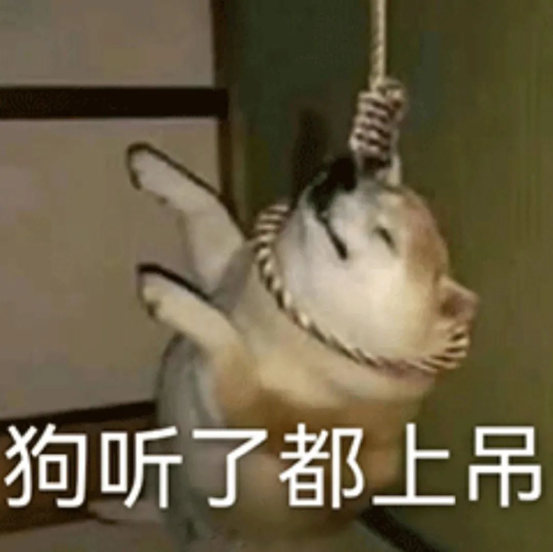 2023年如何挑选笔记本电脑,2023年笔记本性价比排行