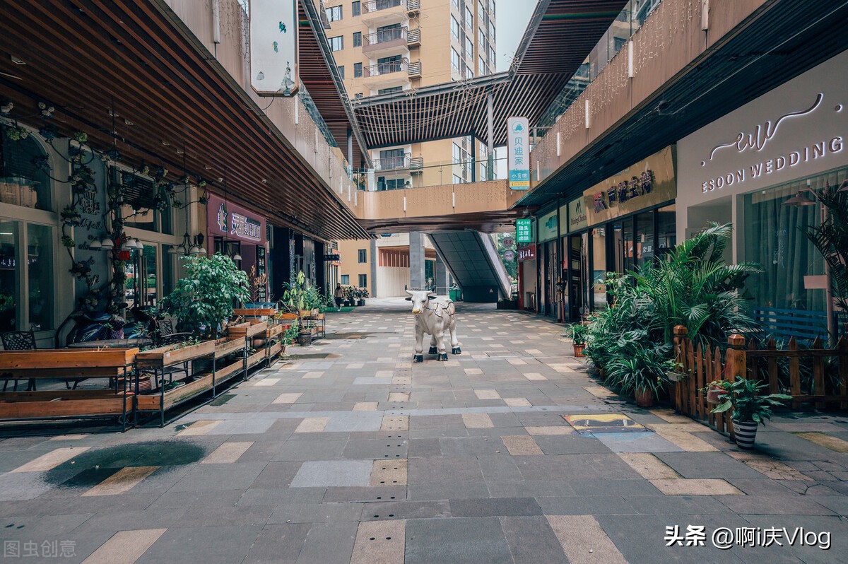 以后实体店会被网店取代么,实体店未来会被网店代替吗