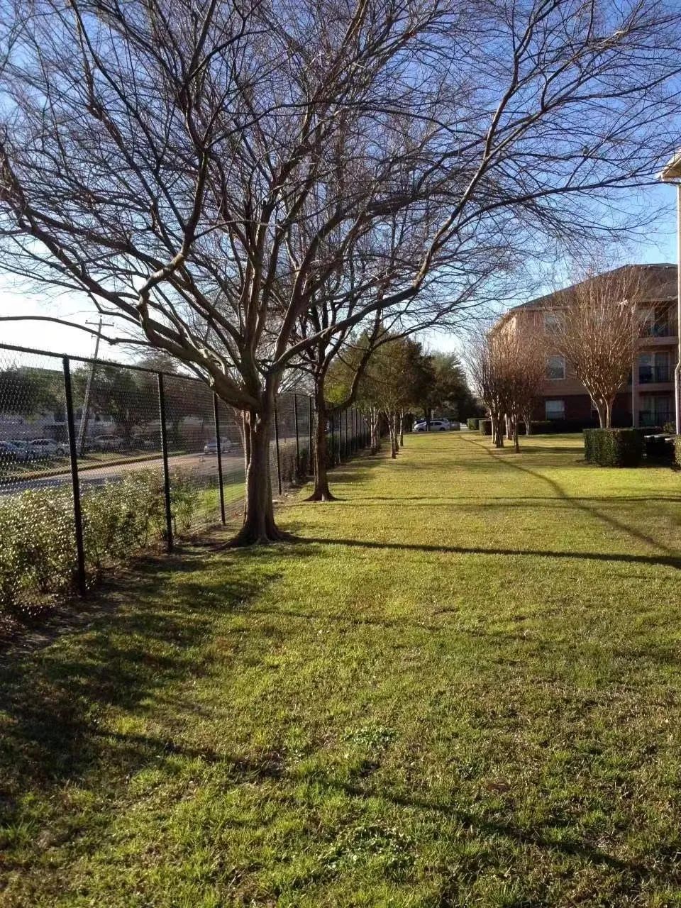 赴美治癌3000天,赴美就医最高花费多少钱