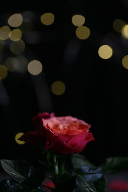 一个长期不换微信头像的男人,一直不换微信名字的人