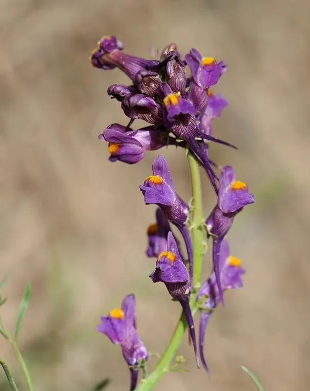给你全部的温情与热爱,想给你全部的温情和热爱