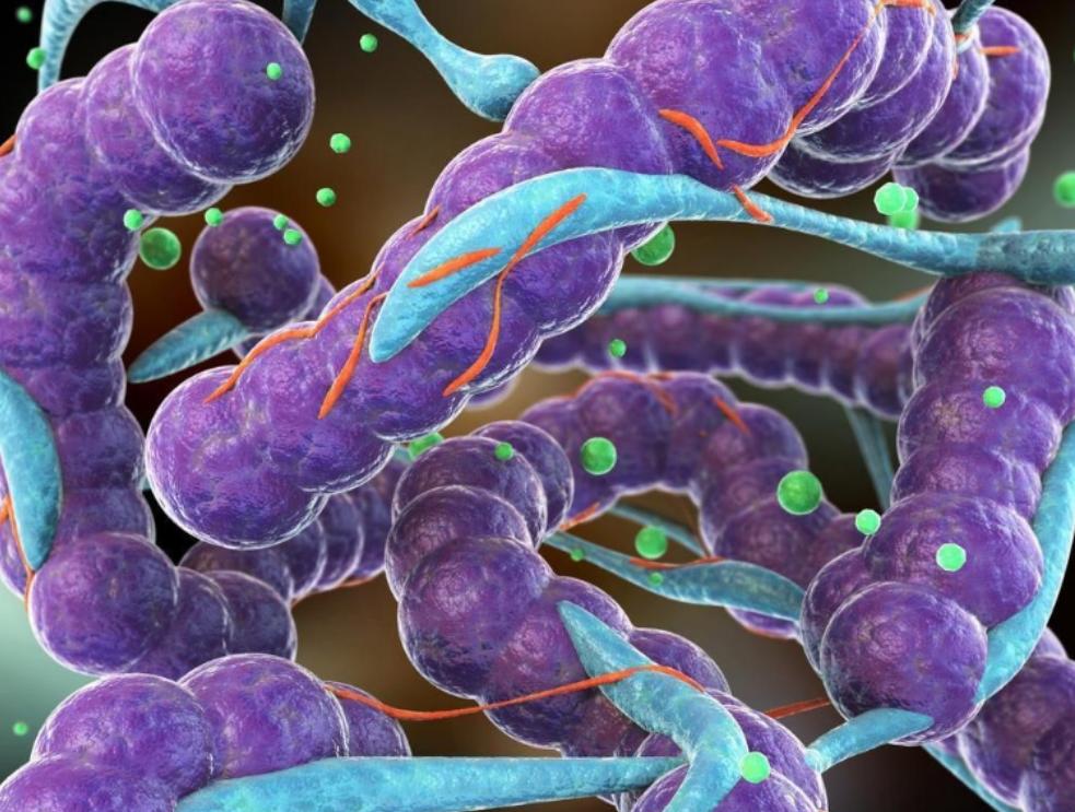 阴毛变白，警惕这2大原因！*处私**毛发的秘密别羞于查看