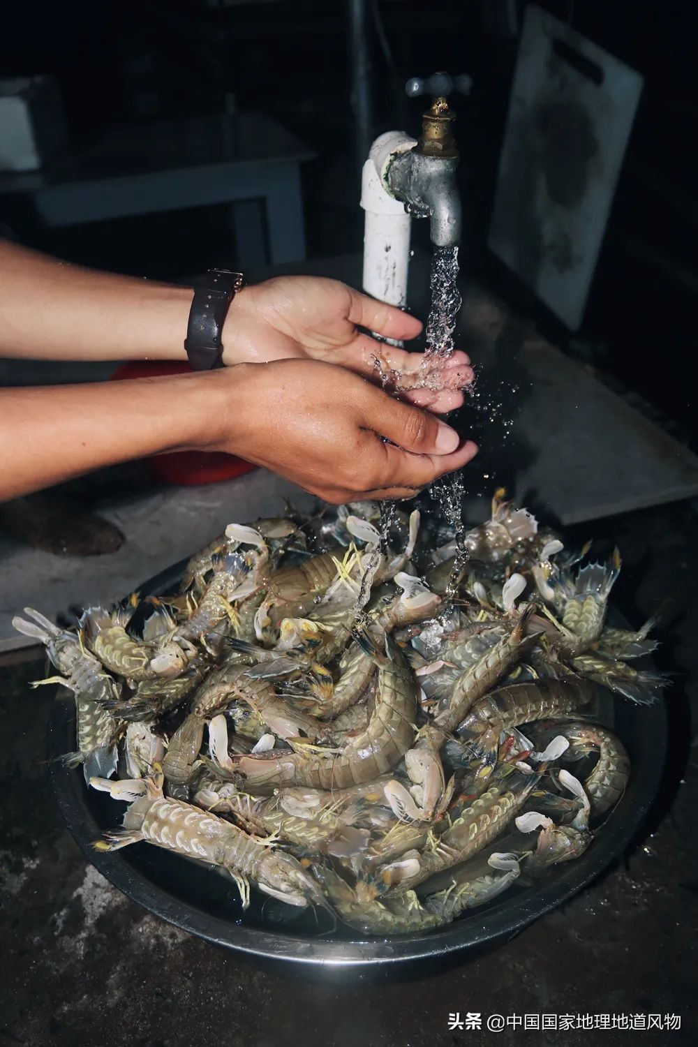 中国哪里可以吃超大皮皮虾,中国吃皮皮虾最好的地方