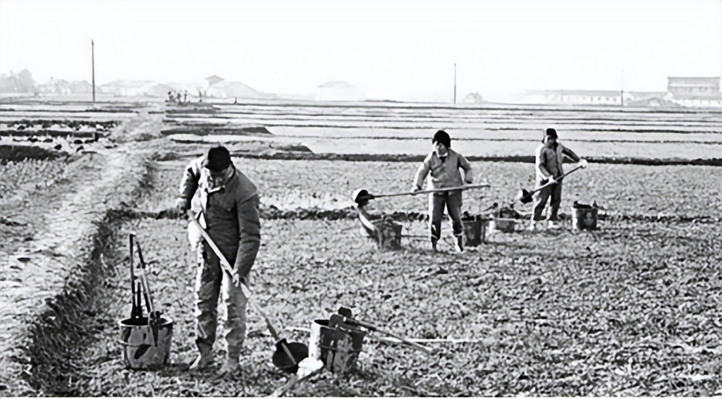 大邱庄景象如何？禹作敏的别墅最为凄凉，门牌被摘，只剩残垣断壁