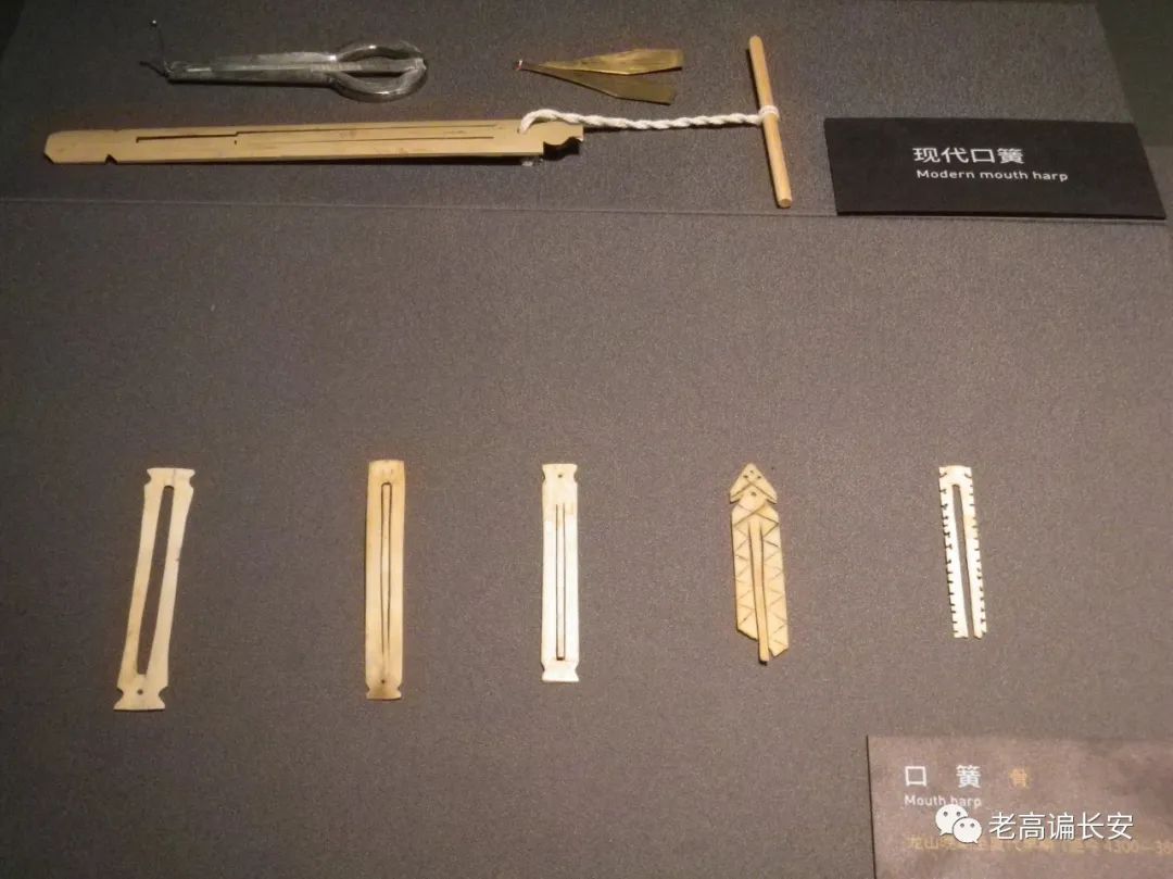 假期参观陕西考古博物馆,陕西考古博物馆开馆直播