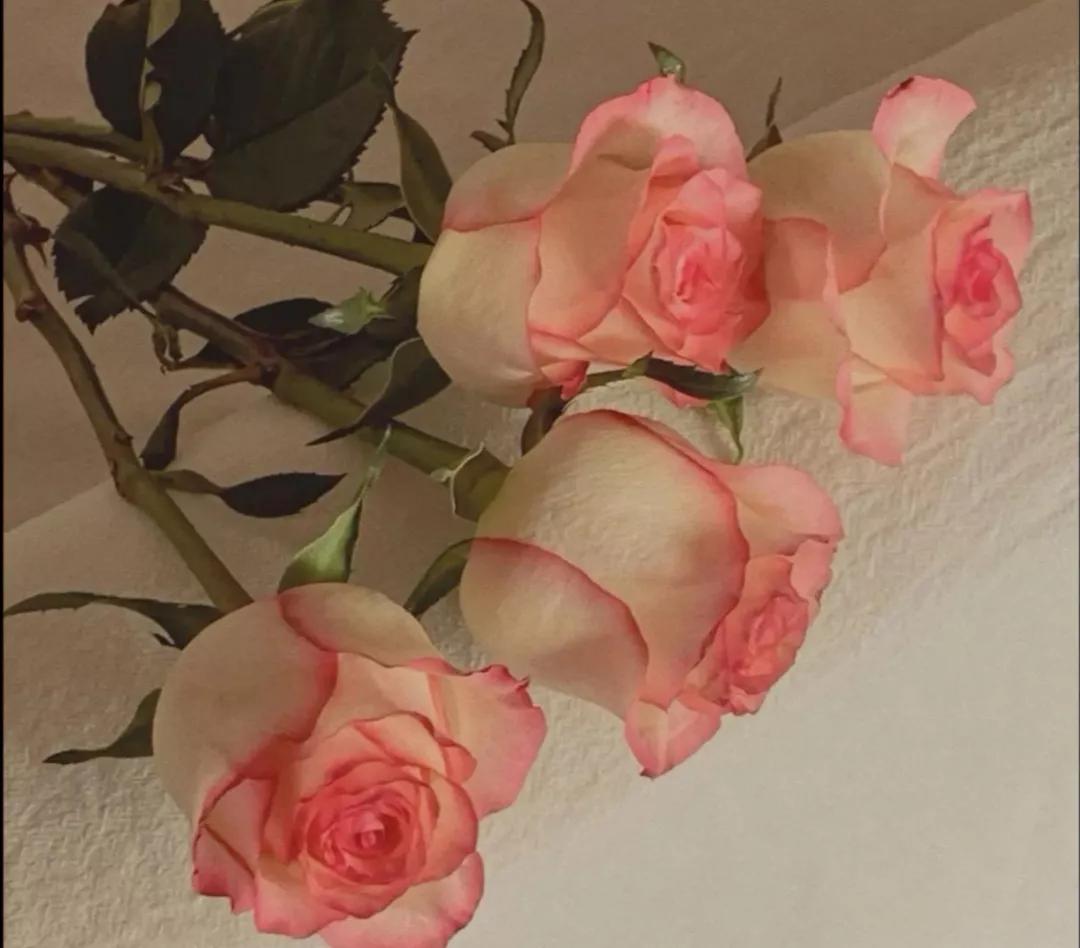 凤凰男面对原生家庭的无度索取,凤凰男把自己的原生家庭放在首位