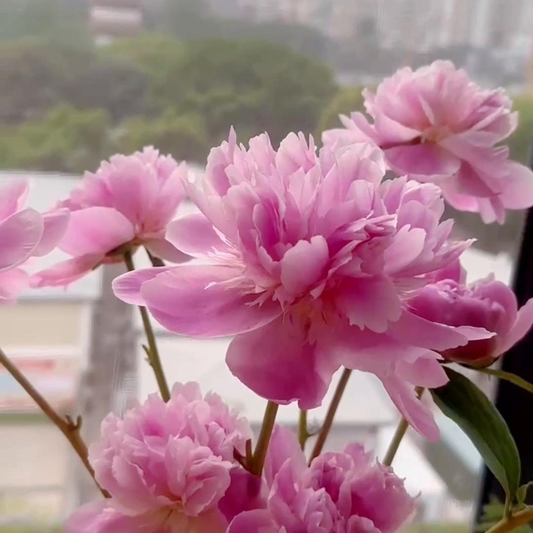 什么样的人适合买香港保险,什么人需要购买商业保险